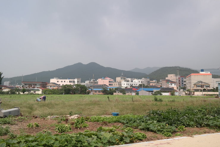 연곡 마을 전경