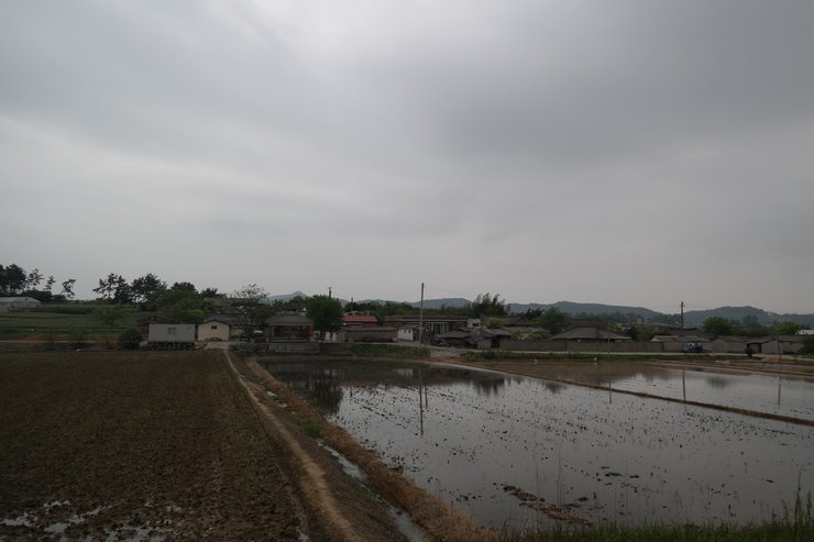 마을 전경을 찍은 사진. 모내기를 하기 위해 논에 물을 대놓았고 그 뒤로 마을 집들이 보임.
