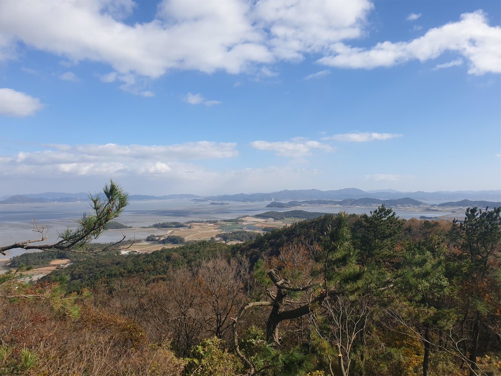 해제면 봉대산 정화활동 (2).jpg