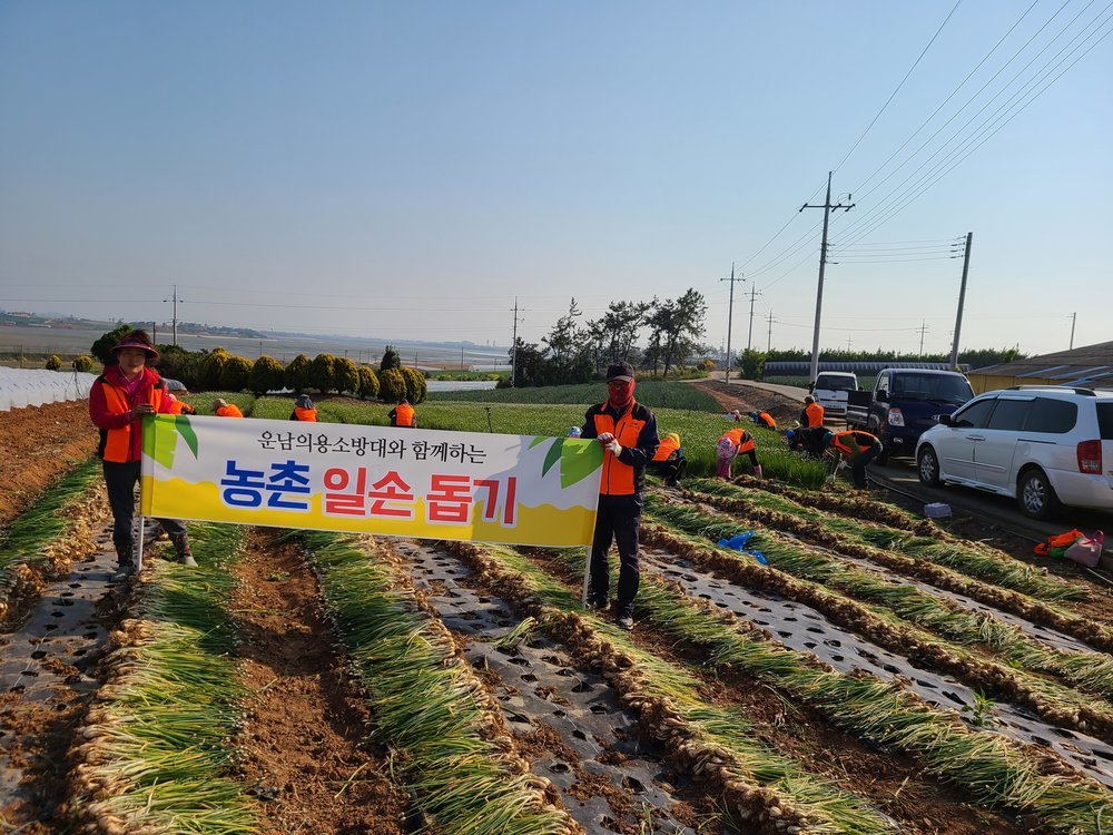 운남면 농촌일손돕기