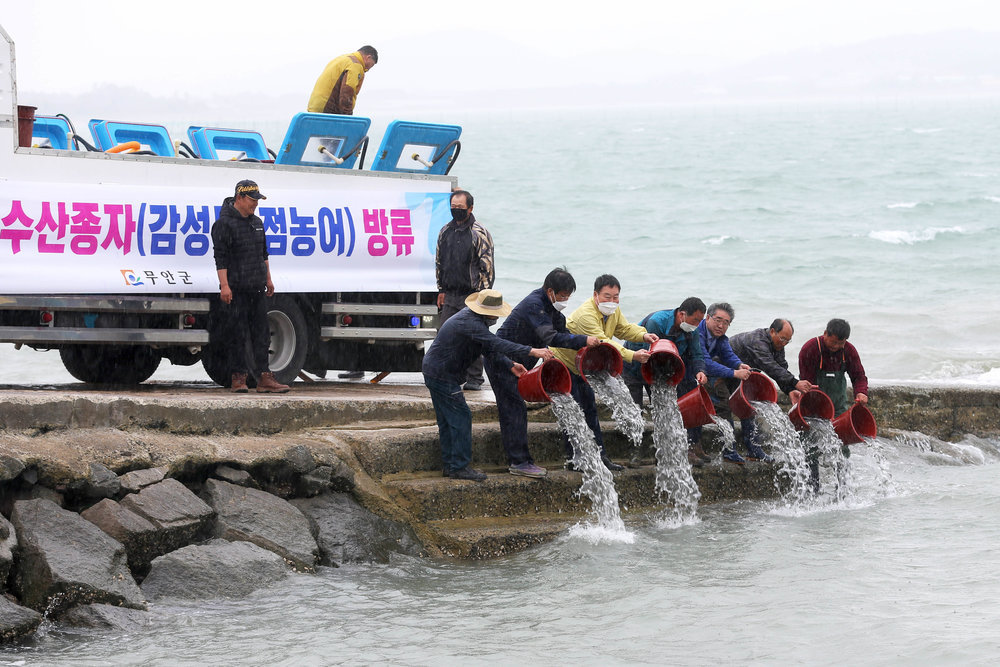 수산종자 방류