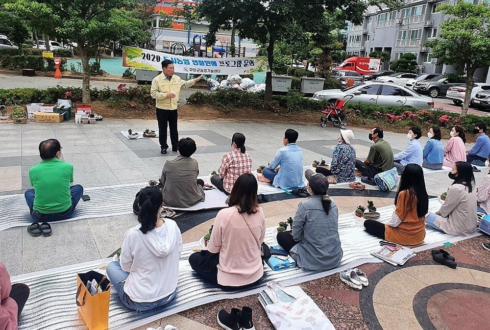 도시농업 생활원예