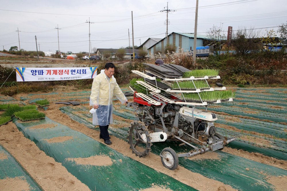 양파 기계정식 연시회 1