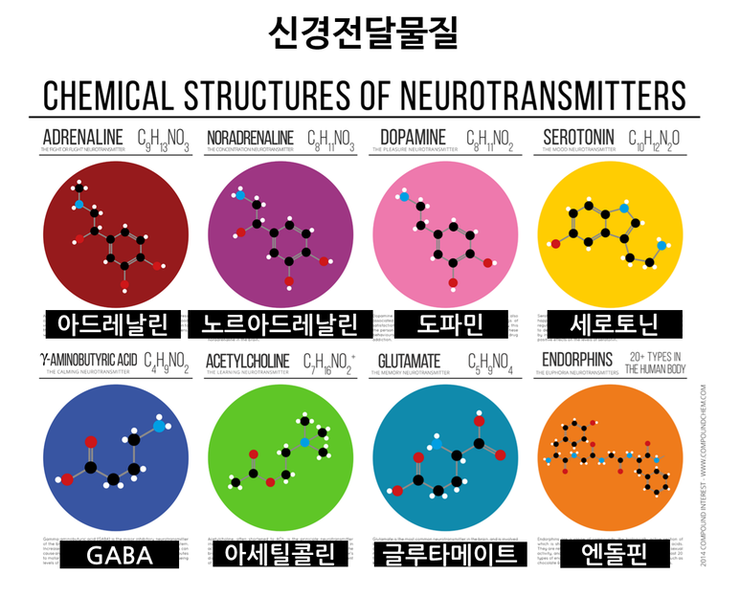 신경전달물질