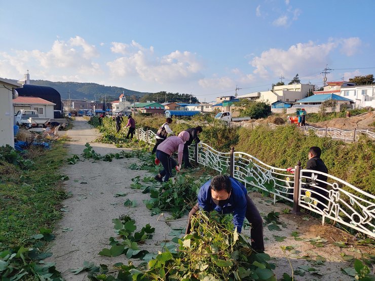 해제면 주민자치윈원회 회원들이 양간천 주변에 늘어져있는 칡넝쿨을 치우고 있는 모습이다.