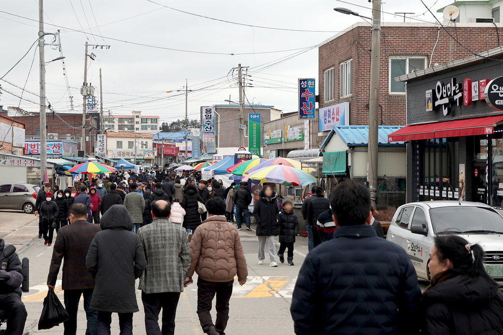 축제 사진