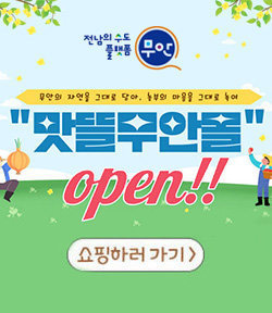 무안군 로고 무안의 자연을 그대로 담아, 농부의 마음을 그대로 녹여 맛뜰무안몰 open!! 쇼핑하러가기