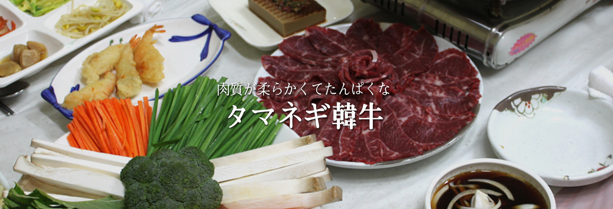 務安玉ねぎ韓牛肉