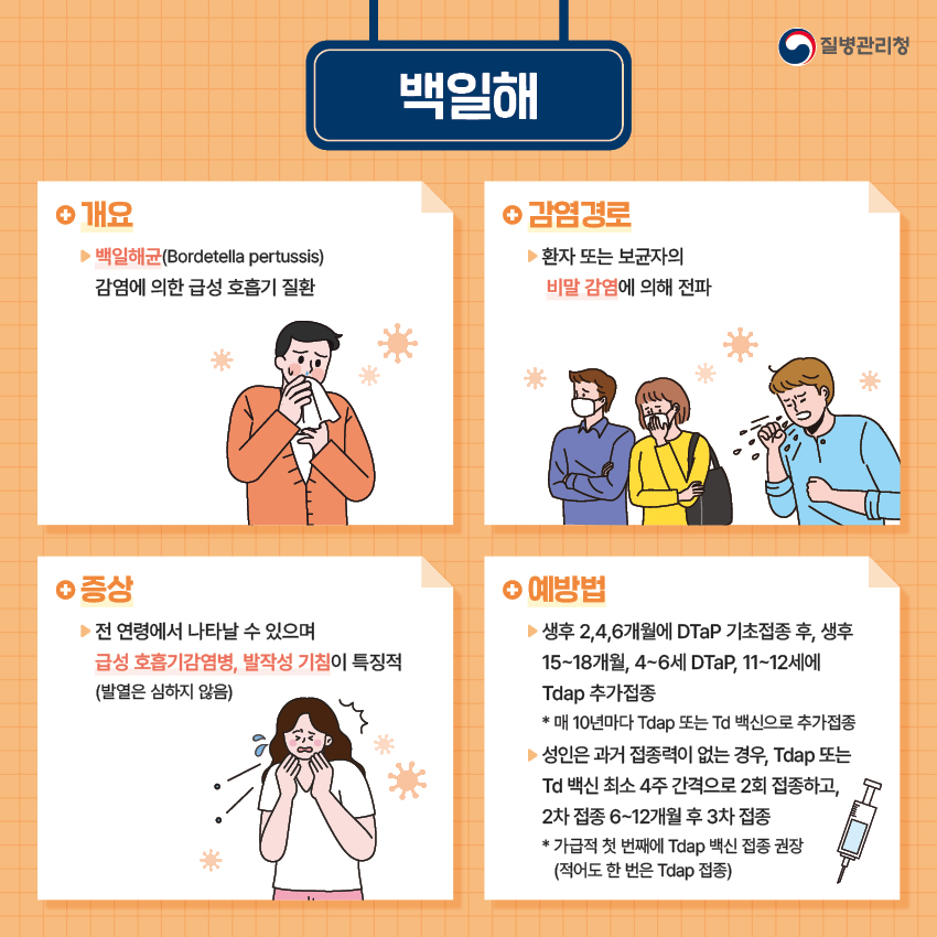 질병관리청 백일해 개요 - 백일해균(Bordetella pertussis)감염에 의한 급성호흡기 질환 / 감염경로 - 환자 또는 보균자의 비말감염에 의해 전파 / 증상 - 전 연령에서 나타날수 있으며 급성 호흡기감염병, 발작성 기침이 특징적(발열은 심하지 않음) / 예방법 - 생후 2,4,6개월에 DTaP 기초접종 후, 생후 15~18개월, 4~6세 DTap, 11~12세에 Tdap 추가접종 *매 10년마다 Tdap또는 Td백신으로 추가접종 - 성인은 과거 접종력이 없는 경우, Tdap또는 Td백신 최소 4주 간격으로 2회 접종하고, 2차접종 6~12개월 후 3차접종 *가급적 첫번째에 Tdap백신 접종 권장(적어도 한번은 Tdap접종)