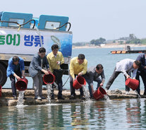 수산종자 매입 방류 