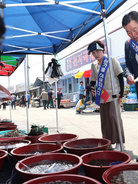 전통시장 장보기 및 상가활성화 캠페인