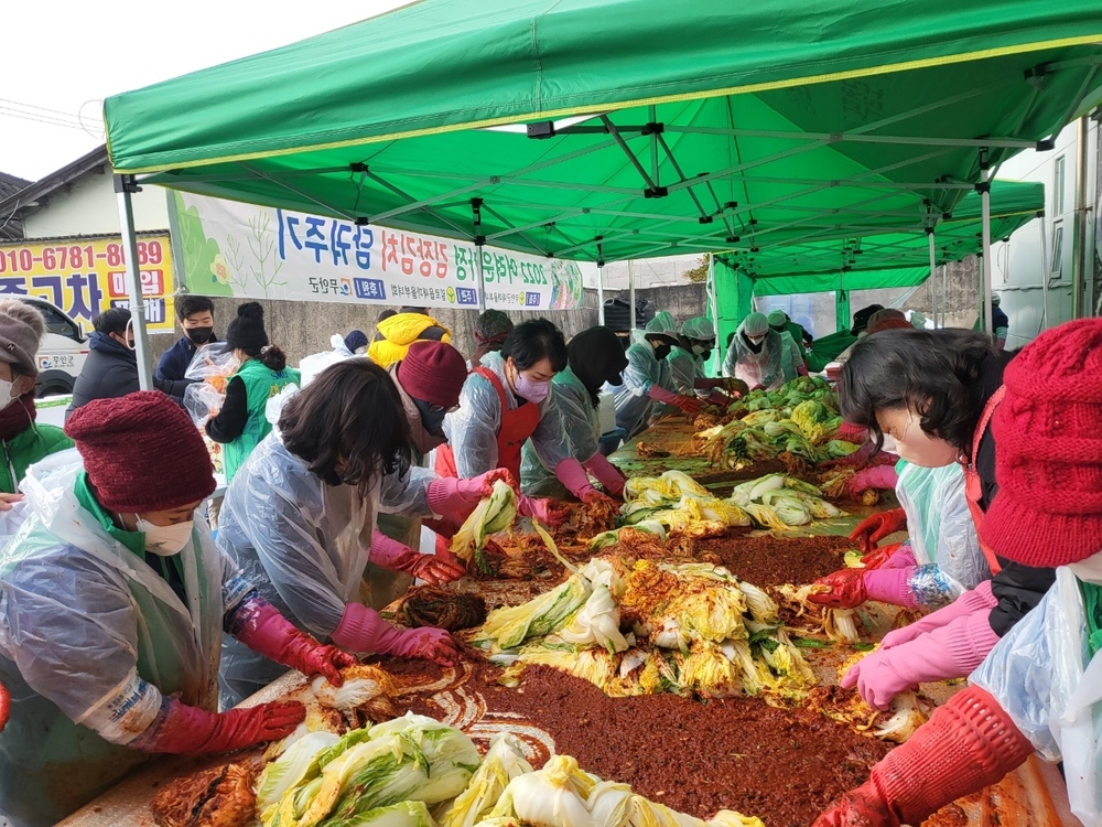 일로읍 새마을부녀회‘사랑의 김치나눔’행사개최