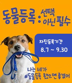 동물등록 : 선택 아닌 필수 자진등록 기간 8.7. ~ 9. 30 나는 네가 동물등록 했으면 좋겠어